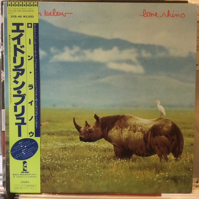 画像1: Adrian Belew / Lone Rhino (1)