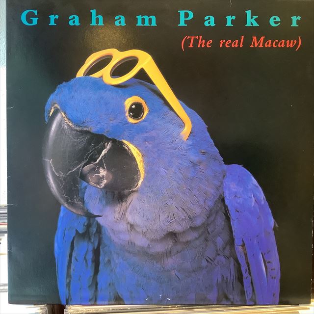 画像1: Graham Parker / The Real Macaw (1)