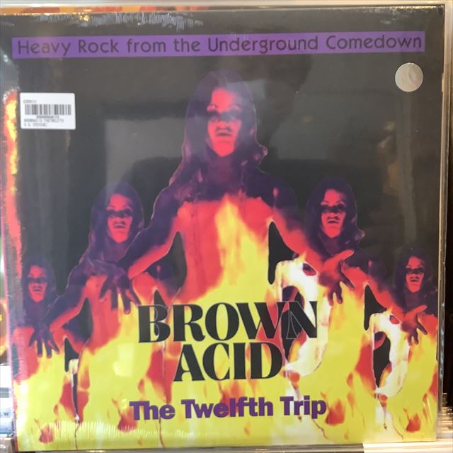 画像1: VA / Brown Acid: The Twelfth Trip (1)