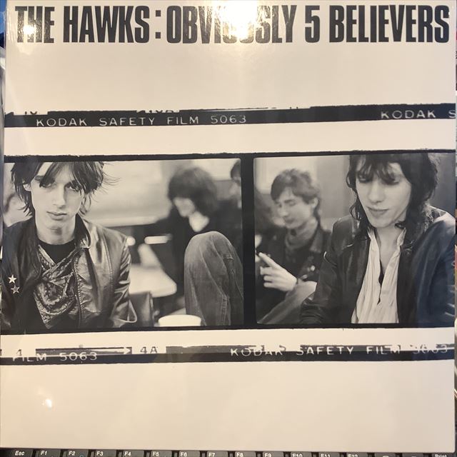 画像1: The Hawks / Obviously 5 Believers (1)