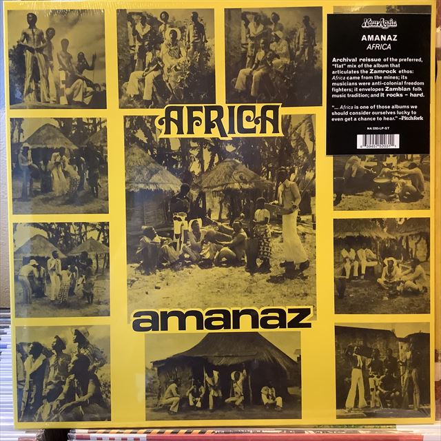 画像1: Amanaz / Africa (1)