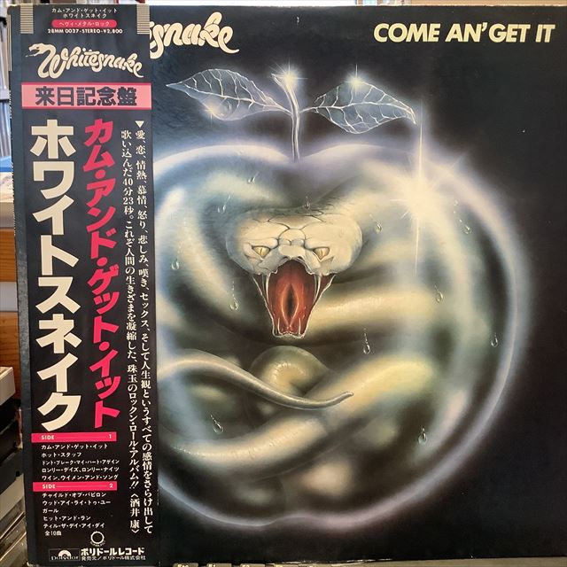 画像1: Whitesnake / Come An' Get It (1)