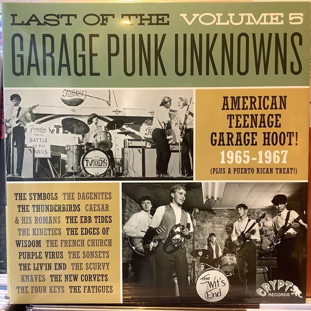 画像1: VA / Last Of The Garage Punk Unknowns Volume 5 (1)