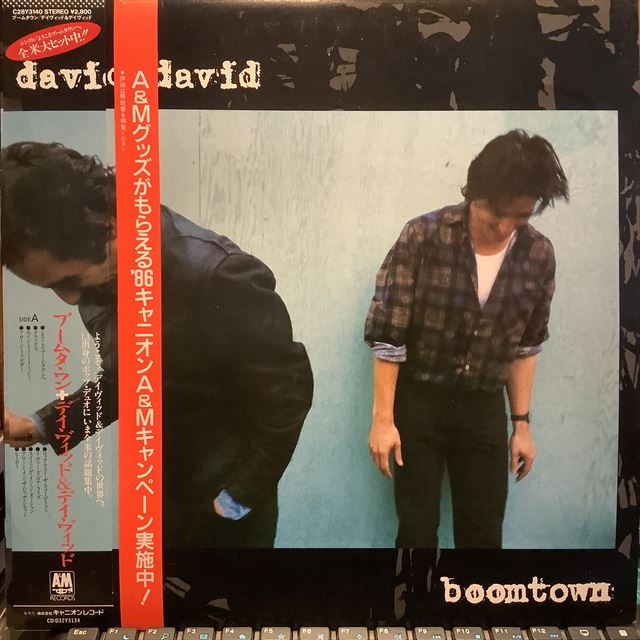 画像1: David + David / Boomtown (1)