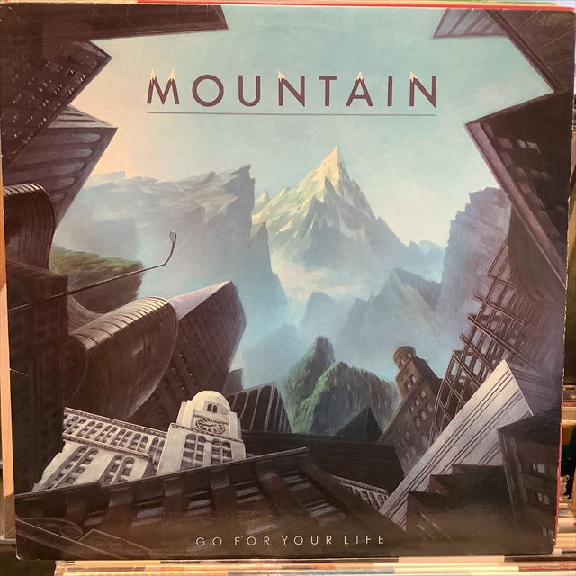 画像1: Mountain / Go For Your Life (1)