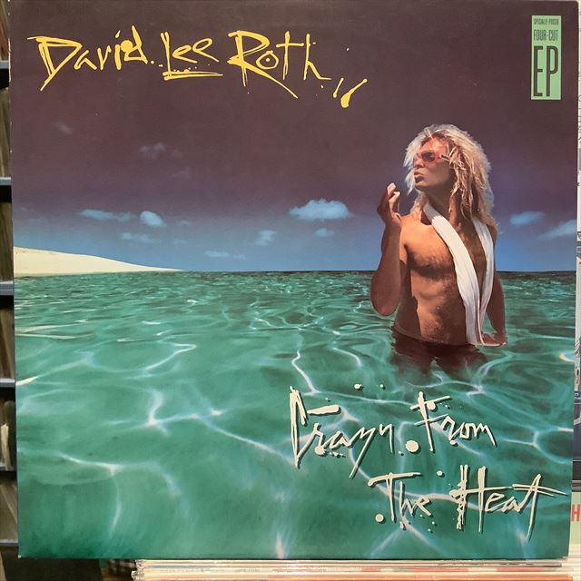 画像1: David Lee Roth / Crazy From The Heat (1)