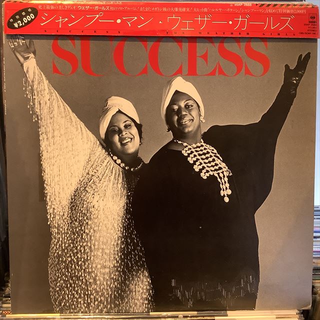 画像1: The Weather Girls / Success (1)