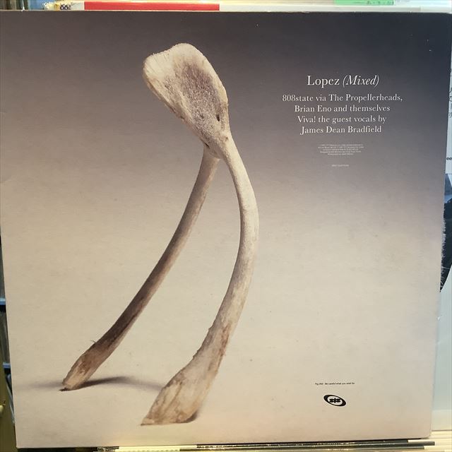 画像1: 808state / Lopez (Mixed) (1)