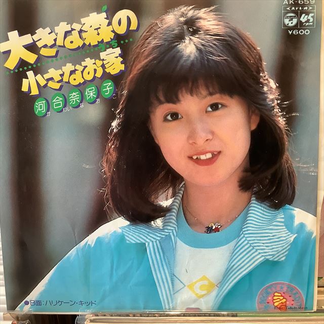 画像1: 河合奈保子 / 大きな森の小さなお家 (1)