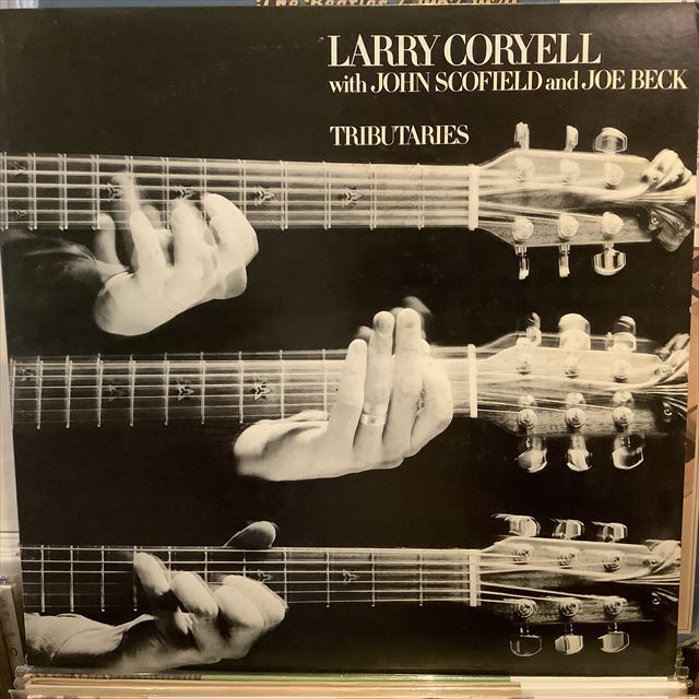 画像1: Larry Coryell with John Scofield and Joe Beck / Tributaries (1)
