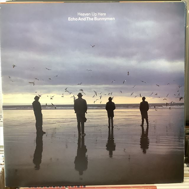 画像1: Echo And The Bunnymen / Heaven Up Here (1)