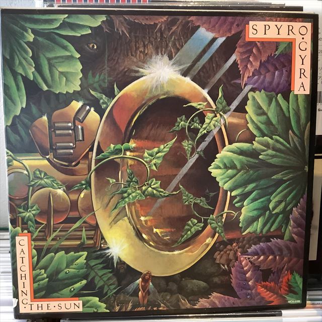 画像1: Spyro Gyra / Catching The Sun  (1)
