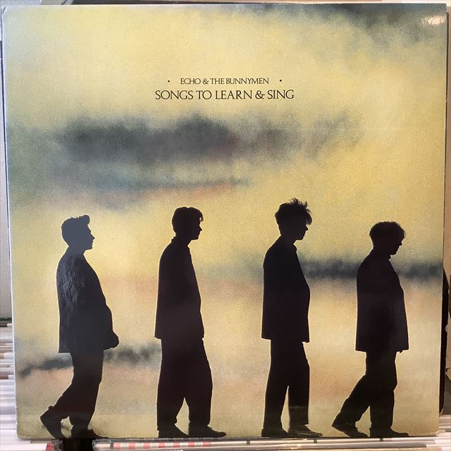 画像1: Echo & The Bunnymen / Songs To Learn & Sing (1)