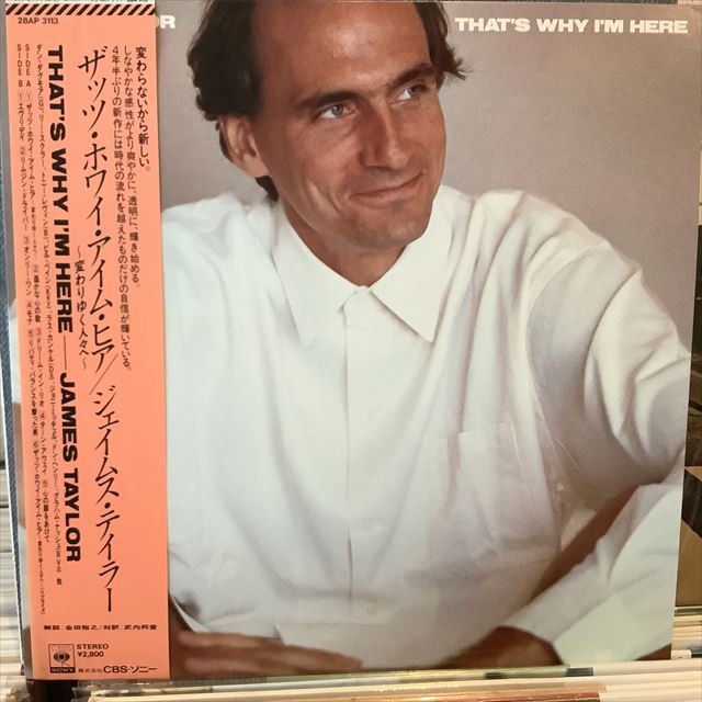 画像1: James Taylor / That's Why I'm Here (1)