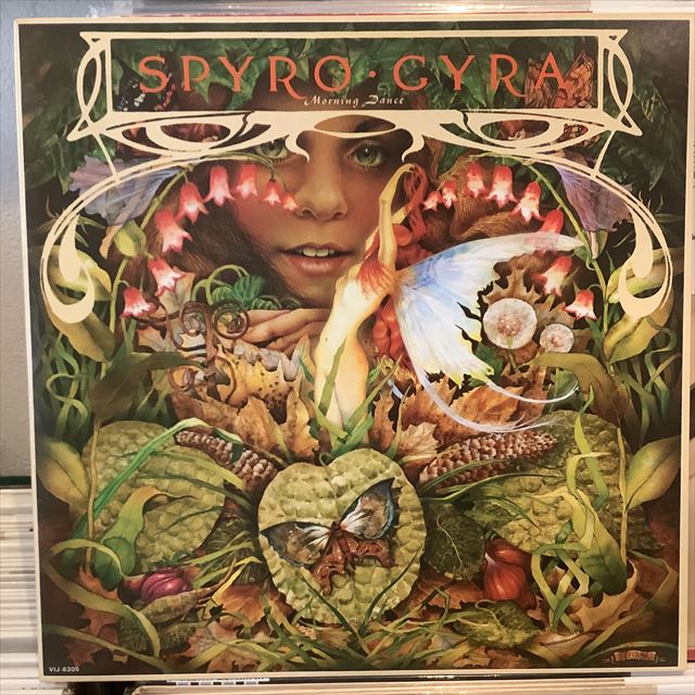 画像1: Spyro Gyra / Morning Dance (1)